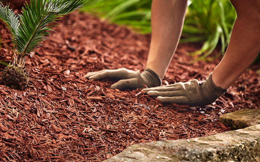 mulch mound 
